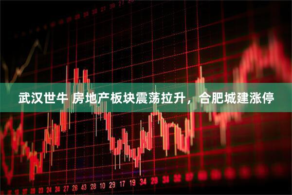 武汉世牛 房地产板块震荡拉升，合肥城建涨停