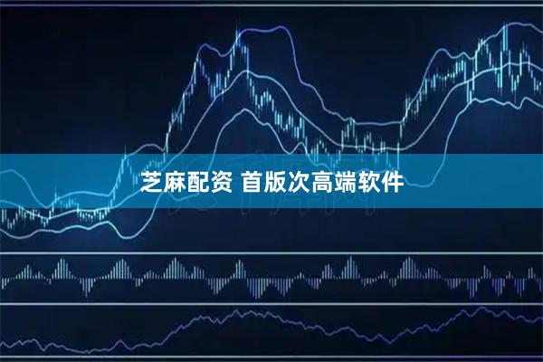 芝麻配资 首版次高端软件